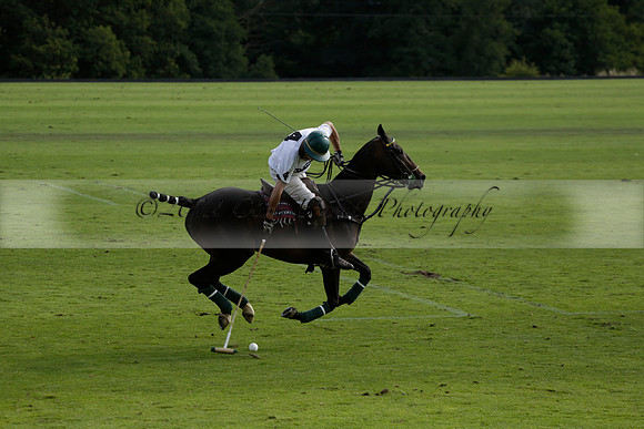 Pandas (white) v Home Farm (navy) in a Park House West Sussex Cup Polo match on Brooksfield at Cowdray Park Polo Club on Friday 30 August 2013. 2013.08.30 www.polopictures.co.uk