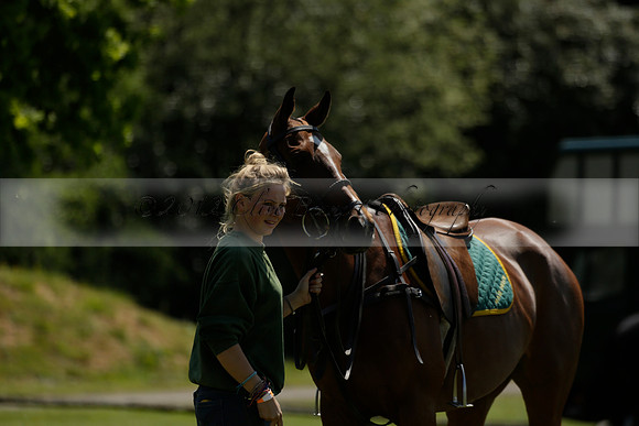 Maiz Dulce v Pluma Negra in a Jubilee 6 Goal Polo match 2013.05.27