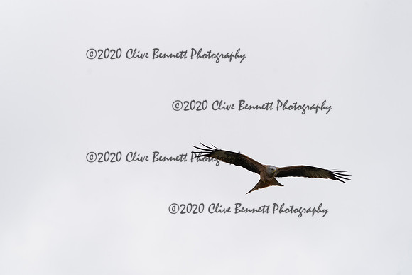 _CAB6769