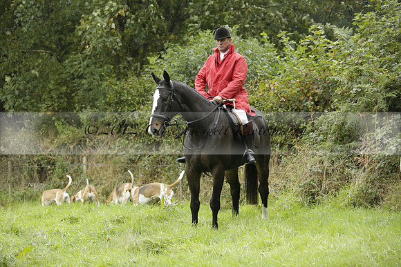 Devon & Somerset Stag Hounds meet at Liscombe on Saturday 12 October 2013 2013.10.12 www.polopictures.co.uk