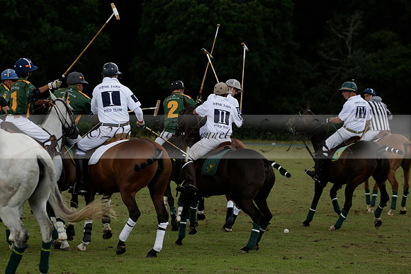 The Blue Jackets Cup polo match played between Maize Dulce (green) vs Home Farm (white) At the New Forest Polo Club on Sunday 18 August 2013