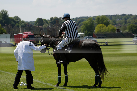 Maiz Dulce v Pluma Negra in a Jubilee 6 Goal Polo match 2013.05.27
