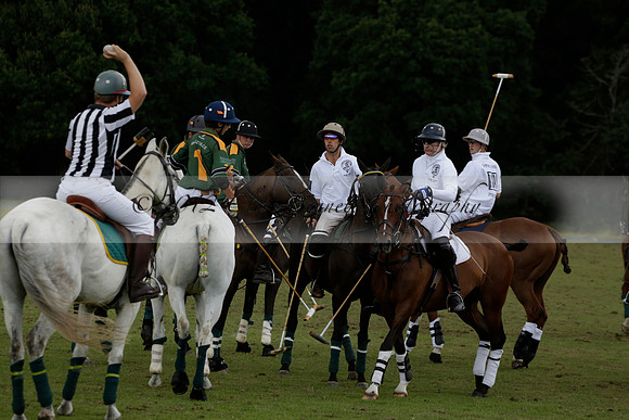 The Blue Jackets Cup polo match played between Maize Dulce (green) vs Home Farm (white) At the New Forest Polo Club on Sunday 18 August 2013