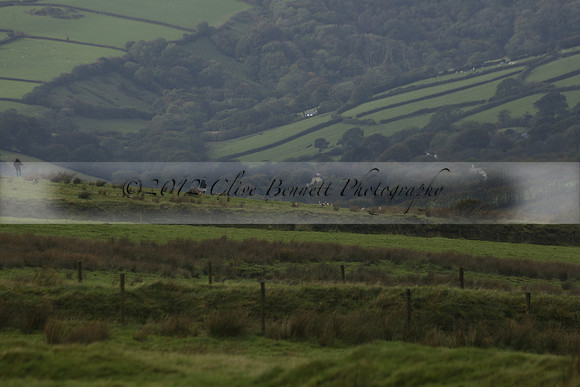 Devon & Somerset Staghounds meet at Larkbarrow Corner. North Devon. 2013.10.18 www.polopictures.co.uk