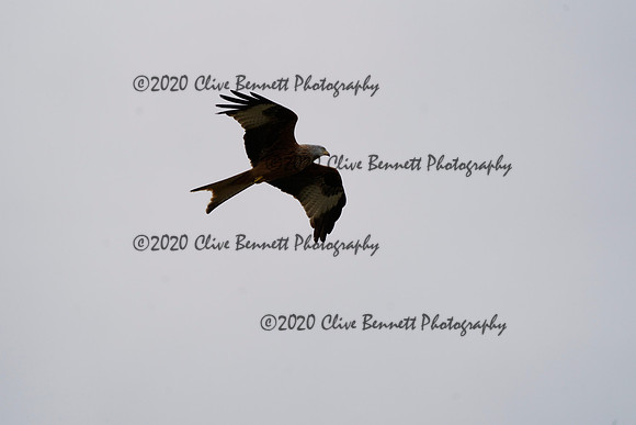 _CAB6767