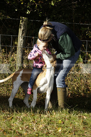 Devon & Somerset StagHounds meet at Five Cross Ways on Thursday 17 October 2013. 2013.10.17 www.polopictures.co.uk