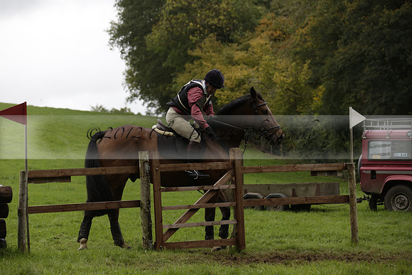 Chiddingfold, Leconfield and Cowdray Hunt, Hunter Trials at Iping on Sunday 20 October 2013. 2013.10.20 www.polopictures.co.uk