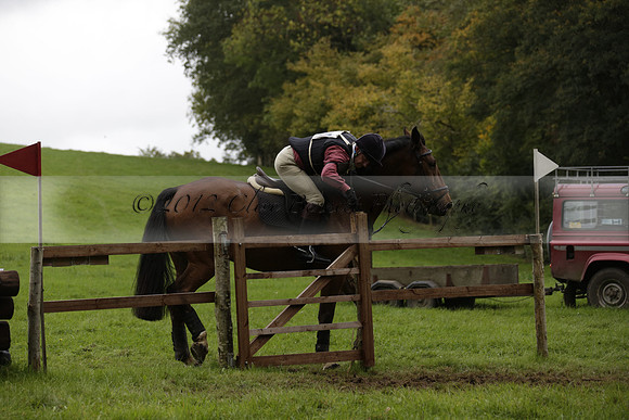 Chiddingfold, Leconfield and Cowdray Hunt, Hunter Trials at Iping on Sunday 20 October 2013. 2013.10.20 www.polopictures.co.uk