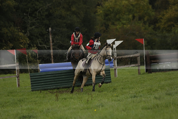 Chiddingfold, Leconfield and Cowdray Hunt, Hunter Trials at Iping on Sunday 20 October 2013. 2013.10.20 www.polopictures.co.uk