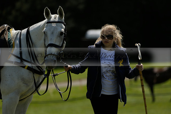 Maiz Dulce v Pluma Negra in a Jubilee 6 Goal Polo match 2013.05.27