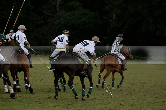 The Blue Jackets Cup polo match played between Maize Dulce (green) vs Home Farm (white) At the New Forest Polo Club on Sunday 18 August 2013