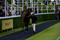 Race 6 The William Hill Epic Value Amateur Jockeys Handicap Stakes 2024.06.14