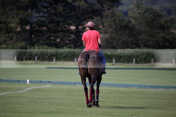 Maiz Dulce v Combe in a Brecknock Cup polo match played on Ambersham 2 at Cowdray Park Polo Club on Friday 17 August 2012