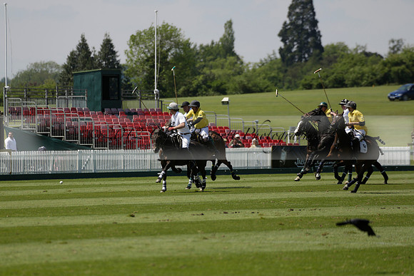 Maiz Dulce v Pluma Negra in a Jubilee 6 Goal Polo match 2013.05.27