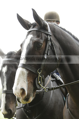 Devon & Somerset Stag Hounds meet at Liscombe on Saturday 12 October 2013 2013.10.12 www.polopictures.co.uk