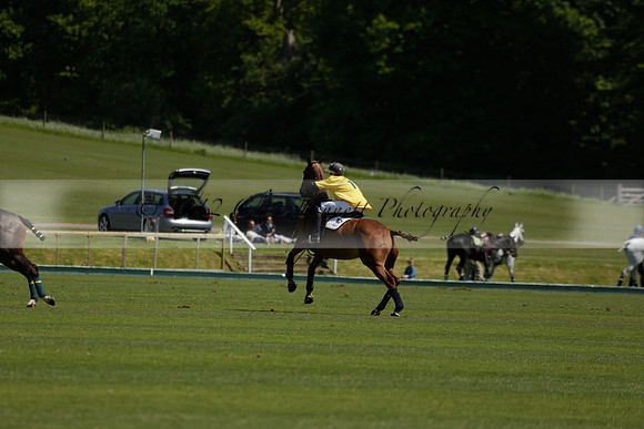 Maiz Dulce v Pluma Negra in a Jubilee 6 Goal Polo match 2013.05.27