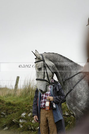 Devon & Somerset Staghounds meet at Larkbarrow Corner. North Devon. 2013.10.18 www.polopictures.co.uk
