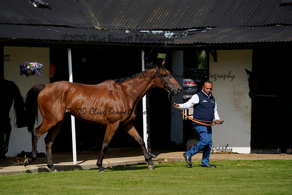 _CAB3565