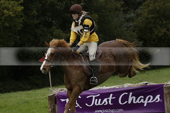 Chiddingfold, Leconfield and Cowdray Hunt, Hunter Trials at Iping on Sunday 20 October 2013. 2013.10.20 www.polopictures.co.uk