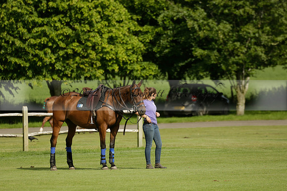 Maiz Dulce v Ghost Chilli in the Easebourne Cup final Polo match 2013.06.09