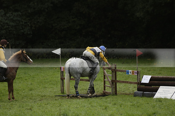 Chiddingfold, Leconfield and Cowdray Hunt, Hunter Trials at Iping on Sunday 20 October 2013. 2013.10.20 www.polopictures.co.uk