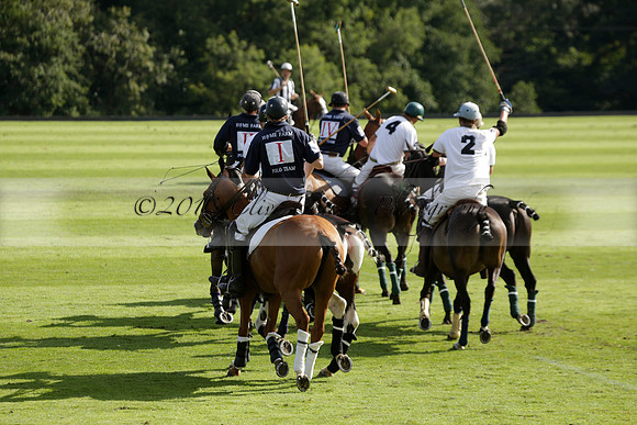 Pandas (white) v Home Farm (navy) in a Park House West Sussex Cup Polo match on Brooksfield at Cowdray Park Polo Club on Friday 30 August 2013. 2013.08.30 www.polopictures.co.uk
