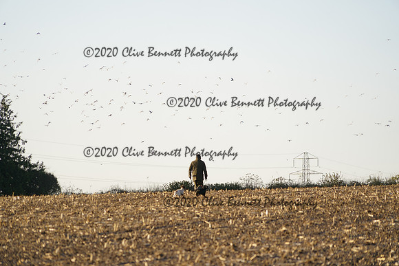 _CAB0556
