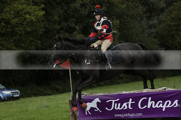Chiddingfold, Leconfield and Cowdray Hunt, Hunter Trials at Iping on Sunday 20 October 2013. 2013.10.20 www.polopictures.co.uk