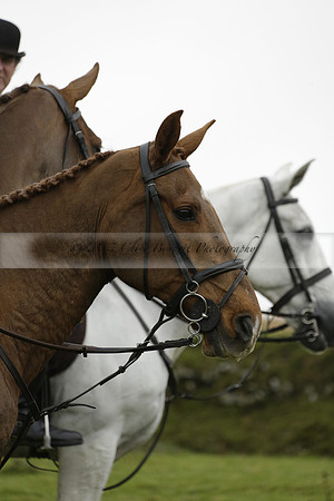 Devon & Somerset Staghounds meet at Larkbarrow Corner. North Devon. 2013.10.18 www.polopictures.co.uk
