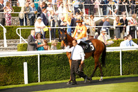 Race 6 The Whiteley Clinic Stakes 2016.08.27