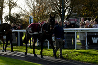 Winner Rental Services Raceday at Fontwell 2014.11.07