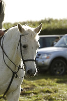 Devon & Somerset StagHounds meet at Five Cross Ways on Thursday 17 October 2013. 2013.10.17 www.polopictures.co.uk
