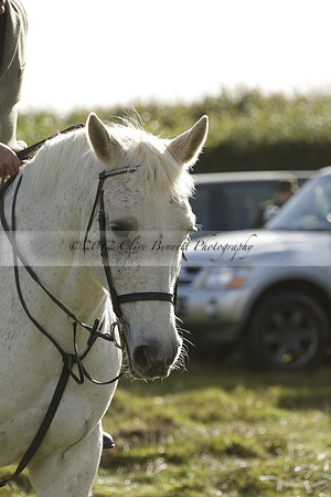 Devon & Somerset StagHounds meet at Five Cross Ways on Thursday 17 October 2013. 2013.10.17 www.polopictures.co.uk