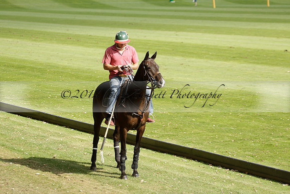 Pandas (white) v Home Farm (navy) in a Park House West Sussex Cup Polo match on Brooksfield at Cowdray Park Polo Club on Friday 30 August 2013. 2013.08.30 www.polopictures.co.uk