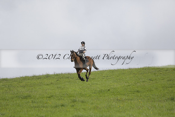 Chiddingfold, Leconfield and Cowdray Hunt, Hunter Trials at Iping on Sunday 20 October 2013. 2013.10.20 www.polopictures.co.uk