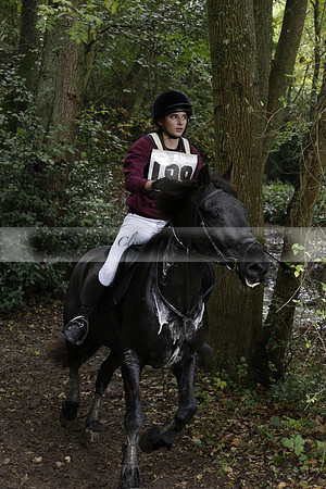 Chiddingfold, Leconfield and Cowdray Hunt, Hunter Trials at Iping on Sunday 20 October 2013. 2013.10.20 www.polopictures.co.uk
