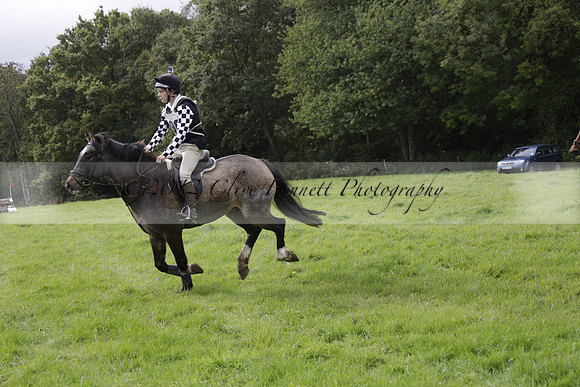 Chiddingfold, Leconfield and Cowdray Hunt, Hunter Trials at Iping on Sunday 20 October 2013. 2013.10.20 www.polopictures.co.uk