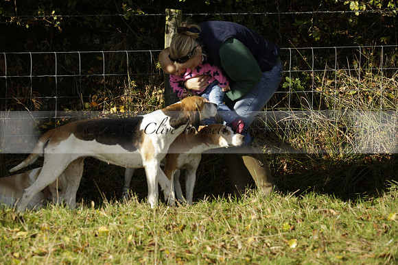 Devon & Somerset StagHounds meet at Five Cross Ways on Thursday 17 October 2013. 2013.10.17 www.polopictures.co.uk
