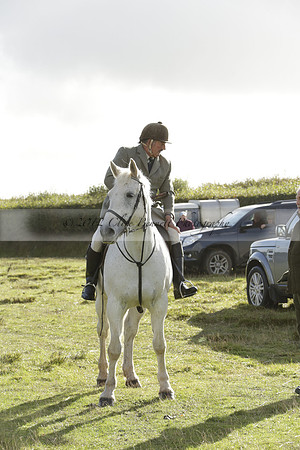 Devon & Somerset StagHounds meet at Five Cross Ways on Thursday 17 October 2013. 2013.10.17 www.polopictures.co.uk