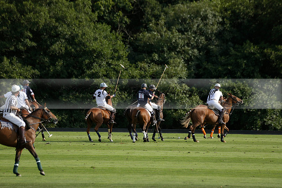 Pandas (white) v Home Farm (navy) in a Park House West Sussex Cup Polo match on Brooksfield at Cowdray Park Polo Club on Friday 30 August 2013. 2013.08.30 www.polopictures.co.uk
