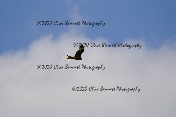 _CAB0970