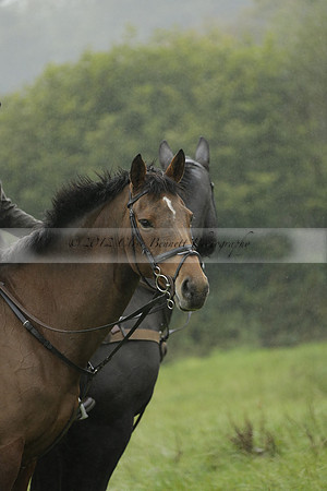 Devon & Somerset Stag Hounds meet at Liscombe on Saturday 12 October 2013 2013.10.12 www.polopictures.co.uk