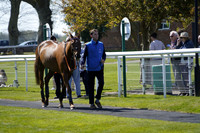 Race 1 The Betgoodwin Best Odds Guarenteed Maiden Hurdle Race 2025.04.11