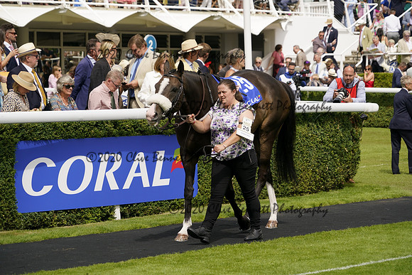 _CAB0646
