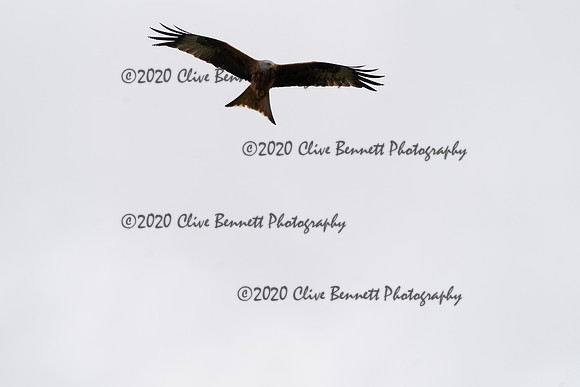 _CAB6773