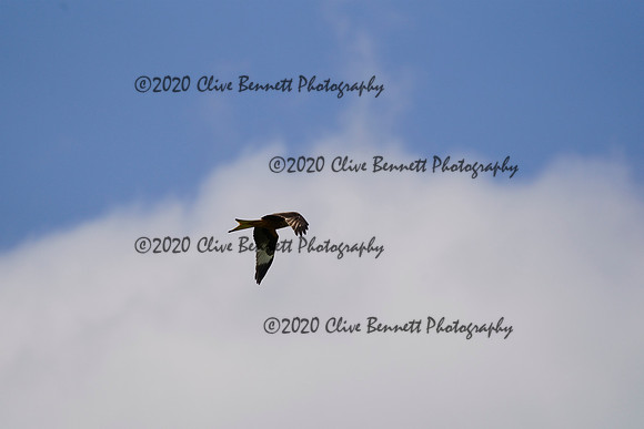 _CAB0969