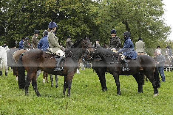 Devon & Somerset Stag Hounds meet at Liscombe on Saturday 12 October 2013 2013.10.12 www.polopictures.co.uk