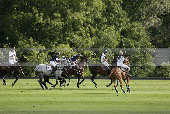 Pandas (white) v Home Farm (navy) in a Park House West Sussex Cup Polo match on Brooksfield at Cowdray Park Polo Club on Friday 30 August 2013. 2013.08.30 www.polopictures.co.uk
