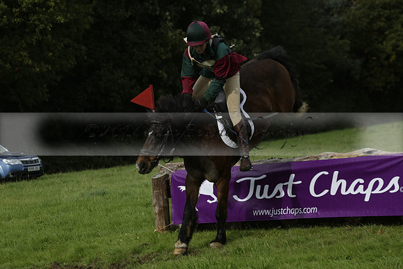 Chiddingfold, Leconfield and Cowdray Hunt, Hunter Trials at Iping on Sunday 20 October 2013. 2013.10.20 www.polopictures.co.uk