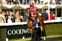 Race 4 The Happy Birthday Tony Pannett Stakes 2016.10.09